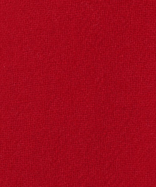 TOMORROWLAND (トゥモローランド)の「NITTO CAMICIONE シャツワンピース(シャツワンピース・レディース・レッド/グレー・S)」の11枚目の写真
