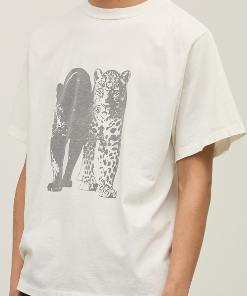 REMI RELIEF(レミレリーフ)の「REMI RELIEF/レミレリーフ SP加工NEW Fit-T(Leopard) レオパード クルーネック ヴィンテージライク コットンTシャツ メンズ 2026年夏 夏服(Tシャツ/カットソー・メンズ・ホワイト/ブラック/オリーブ・M/L)」の4枚目の写真