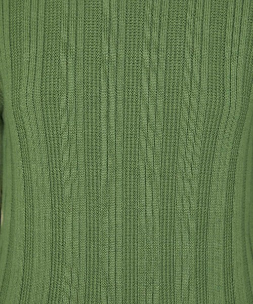 STUDIOUS（ステュディオス）の「【STUDIOUS】マルチリブボトルネックニットトップス（ニット/セーター・レディース・ブラック/ベージュ/グリーン・FREE）」の10枚目の写真