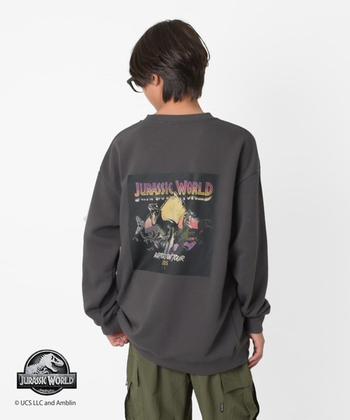 GLAZOS(グラソス)の「【大人向けサイズあり】【ジュラシック・ワールド】ヴィンテージ加工アソート裏毛クルーネックトレーナー(スウェット・キッズ・チャコールグレー/グレー・140cm/150cm/160cm/170cm)」の6枚目の写真