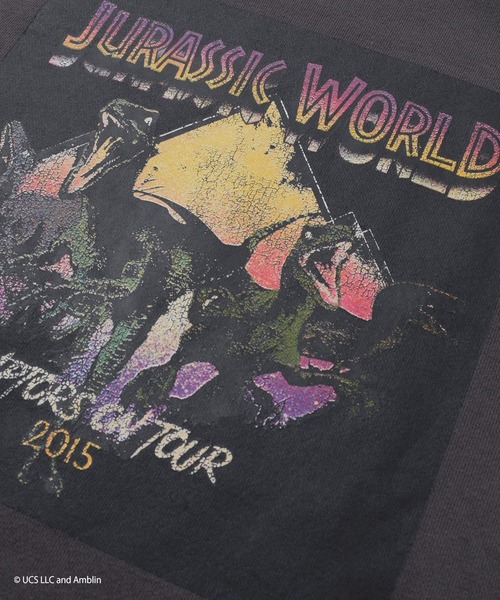 GLAZOS(グラソス)の「【大人向けサイズあり】【ジュラシック・ワールド】ヴィンテージ加工アソート裏毛クルーネックトレーナー(スウェット・キッズ・チャコールグレー/グレー・140cm/150cm/160cm/170cm)」の12枚目の写真