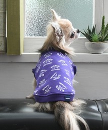 XLARGE(GNXg[W)XLARGE/h[COOGvI[o[(ybgEFA)