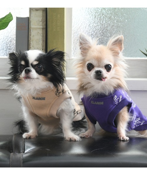 XLARGE（エクストララージ）の「XLARGE/ドローイングOGプルオーバー（ペットウェア・メンズ・パープル/ベージュ・S/M/L/2L/3L/XS）」の15枚目の写真