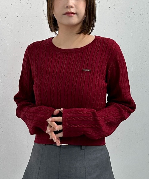 archives（アルシーヴ）の「ワンポイントケーブルニット（ニット/セーター・レディース・ブラック/ブラウン/グレー/アイボリー/ワイン・MEDIUM）」の5枚目の写真