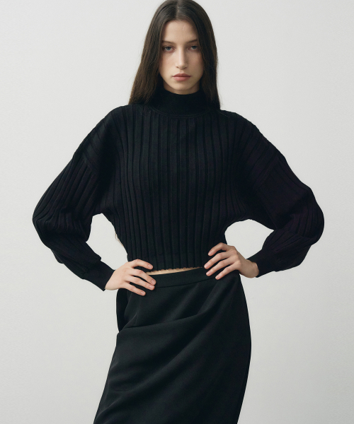 NOIRER FOR WOMAN(ノイアーフォーウーマン)の「リブモックネッククロップニット(ブラック)(ニット/セーター・レディース・その他・FREE)」の1枚目の写真