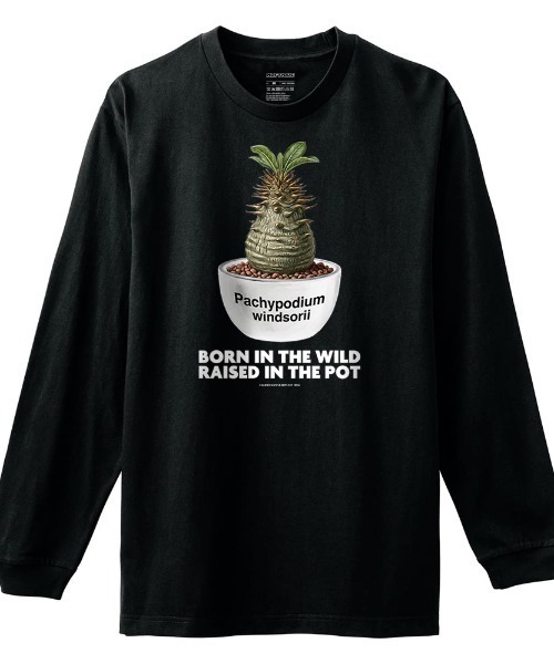 Moftique(モフティック)の「Moftique(モフティック) 長袖Tシャツ パキポディウム ウィンゾリー コーデックス 塊根植物 多肉植物 プリント Tシャツ 長袖 ロンT ロングTシャツ トップス カットソー レディース ユニセックス 春 秋(Tシャツ/カットソー・レディース・ブラック/ホワイト・XS/S)」の1枚目の写真