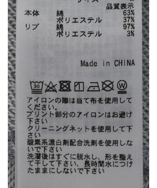 CRAFT STANDARD BOUTIQUE(クラフトスタンダードブティック)の「ddp RETROARTスウェットパーカ_Richard *(パーカー・メンズ・グレー・L/M)」の15枚目の写真