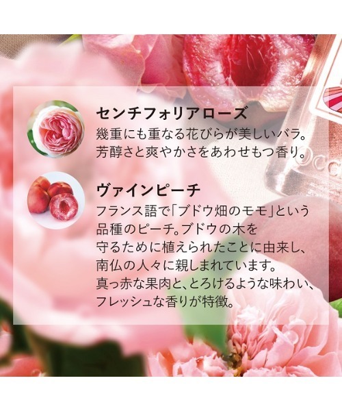 ロクシタン18th ローズヴァインピーチ セレクション【数量限定・公式通販限定】 数量限定】ローズヴァインピーチ｜ロクシタン公式通販