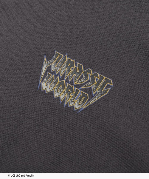 GLAZOS（グラソス）の「【大人向けサイズあり】【ジュラシック・ワールド】ヴィンテージ加工アソート裏毛パーカー（その他トップス・キッズ・チャコールグレー/グレー・140cm/150cm/160cm/170cm）」の13枚目の写真