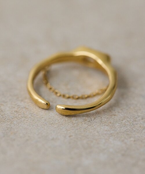 ear PAPILLONNER（イアパピヨネ）の「《金属アレルギー対応/ステンレス》フロントチェーンリング（リング・レディース・ゴールド/シルバー・ONE SIZE）」の17枚目の写真