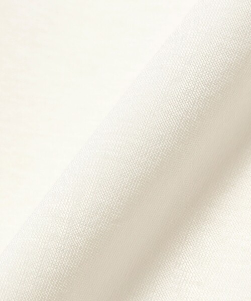 Demi-Luxe BEAMS（デミルクス ビームス）の「コットン バウンシー Tシャツ（Tシャツ/カットソー・レディース・グレー/ホワイト・ONE SIZE）」の15枚目の写真