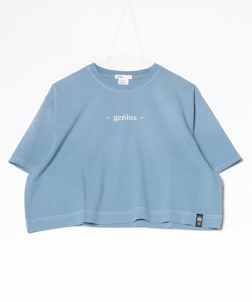 DOUBLE STANDARD CLOTHING(ダブルスタンダードクロージング)の「製品染め天竺Tシャツ(Tシャツ/カットソー・レディース・ブラウン/サックスブルー・FREE)」の9枚目の写真