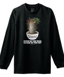 Moftique(モフティック) 長袖Tシャツ パキポディウム ナマクアナム コーデックス 塊根植物 多肉植物 プリント Tシャツ 長袖 ロンT ロングTシャツ トップス カットソー メンズ レディース ユニセックス 春 秋