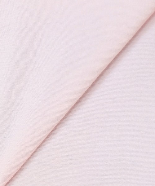 SLOBE IENA（スローブイエナ）の「HANES×SLOBE 別注 USコットン VネックポケットTシャツ◆（Tシャツ/カットソー・レディース・ホワイト/ブラック/グレー系その他/ブラウン/パープル系その他/ピンク・FREE）」の22枚目の写真