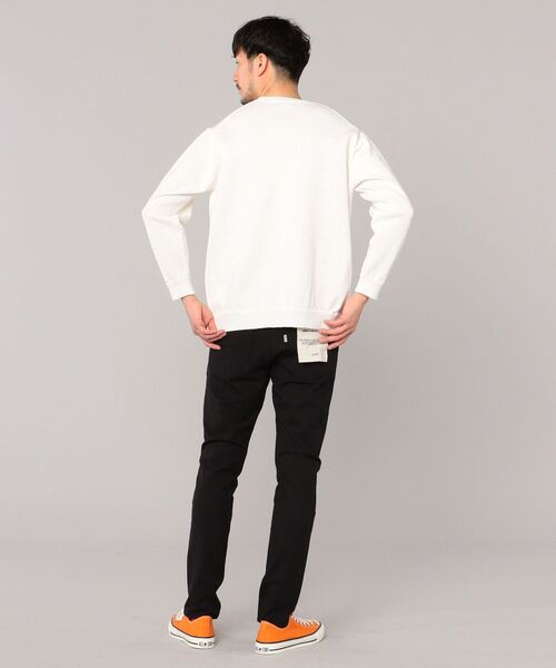 SHIPS（シップス）の「SHIPS: 疑麻コットン/ECOPET(R) プルオーバー ニット（ニット/セーター・メンズ・ライトブルー/オフホワイト/ベージュ/ピンク・SMALL/LARGE/X-LARGE/MEDIUM）」の12枚目の写真