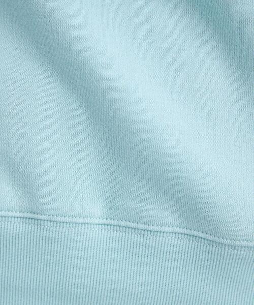 Goodwear(Since1983)（グッドウェア）の「＜Goodwear (グッドウェア)＞ ロングスリーブ ロゴ スウェット プルオーバー カットソー（スウェット・レディース・ライトブルー/ブラック/グレー・FREE）」の11枚目の写真