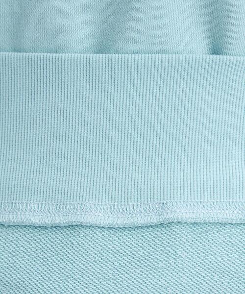 Goodwear(Since1983)（グッドウェア）の「＜Goodwear (グッドウェア)＞ ロングスリーブ ロゴ スウェット プルオーバー カットソー（スウェット・レディース・ライトブルー/ブラック/グレー・FREE）」の21枚目の写真