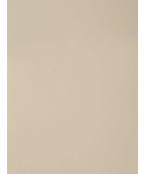 MERCURYDUO（マーキュリーデュオ）の「2WAYラッフルスリーブブラウス（シャツ/ブラウス・レディース・オフホワイト/ベージュ・FREE）」の13枚目の写真