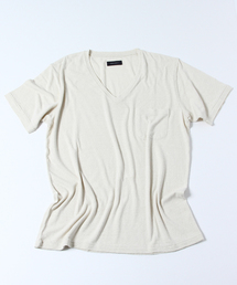 AMERICAN RAG CIE | AMERICAN RAG CIE シルク100%VネックＴシャツ【WEB限定】(Tシャツ/カットソー)