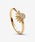 Pandora�i�p���h���j�́u�Z���X�`�A�� �X�p�[�N�����O �T�� �����O�i�����O�j�v�b�C�G���[�S�[���h