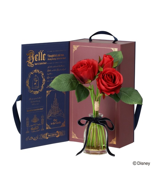 セール】ディズニー MAGIC of CHEMISTRY / 美女と野獣