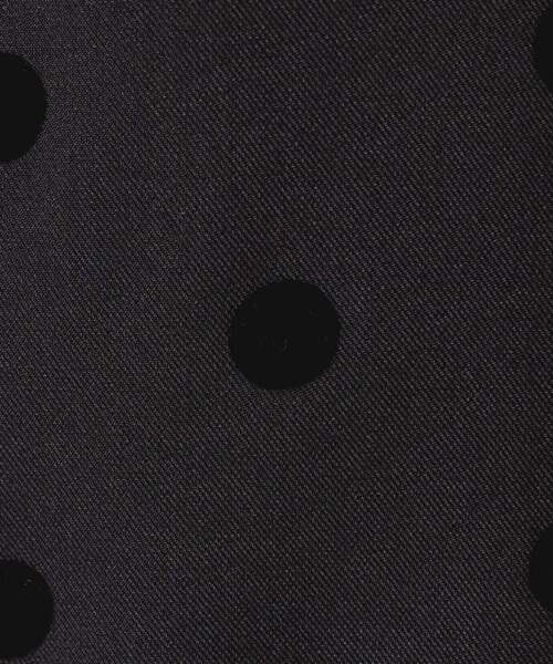 Dessin（デッサン）の「【洗える】フロッキードットパンツ（その他パンツ・レディース・ブラック系/ブラウン系その他2・00/01/02/03）」の6枚目の写真