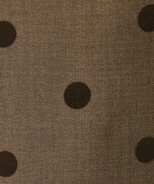 Dessin（デッサン）の「【洗える】フロッキードットパンツ（その他パンツ・レディース・ブラック系/ブラウン系その他2・00/01/02/03）」の12枚目の写真