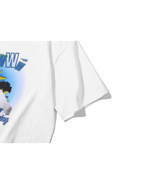 CPGN STUDIO（コンパーニョ）の「[20番手] DTPミャオキャット半袖Tシャツホワイト（Tシャツ/カットソー・レディース・その他・LARGE）」の5枚目の写真