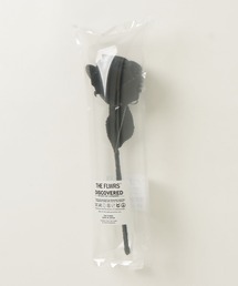 DISCOVERED(�f�B�X�J�o�[�h)��"BAND TEE" THE FLWRS(�t�����[�x�[�X)