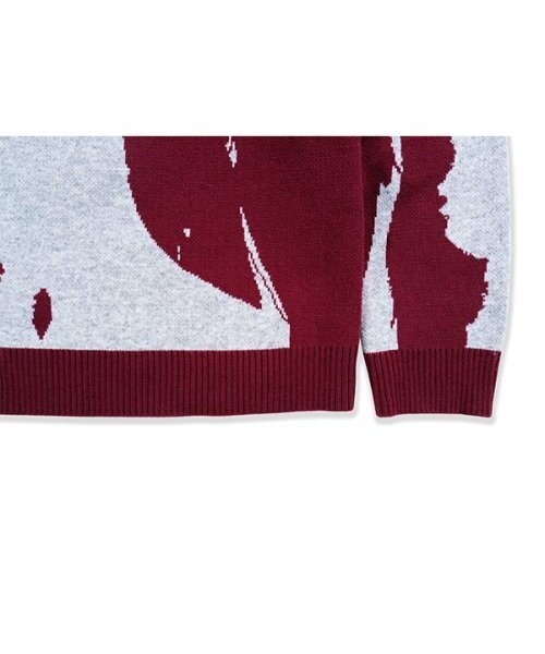 youthbath（ユースバース）の「YB WOMEN GRAPHIC KNIT_BURGUNDY（ニット/セーター・レディース・その他・MEDIUM/LARGE）」の5枚目の写真