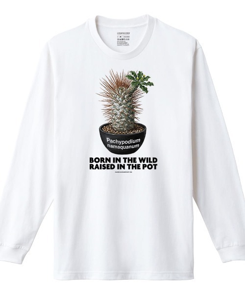 Moftique（モフティック）の「Moftique（モフティック） 長袖Tシャツ パキポディウム ナマクアナム コーデックス 塊根植物 多肉植物 プリント Tシャツ 長袖 ロンT ロングTシャツ トップス カットソー レディース ユニセックス 春 秋（Tシャツ/カットソー・レディース・ブラック/ホワイト・XS/S）」の2枚目の写真