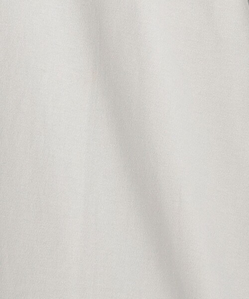 green label relaxing(グリーンレーベルリラクシング)の「<Manhattan Portage>ロゴ Tシャツ(Tシャツ/カットソー・メンズ・ライトグレー/ホワイト・M/L/XL)」の19枚目の写真