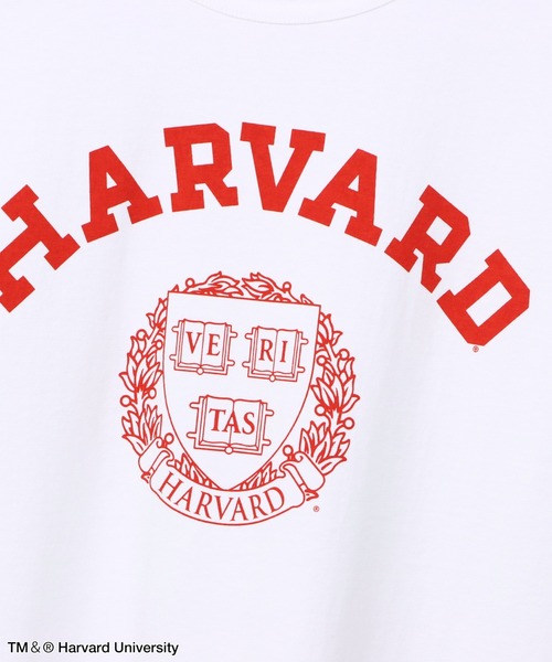 Champion（チャンピオン）の「【Champion/チャンピオン】メンズ MADE IN USA ティーテンイレブン ショートスリーブTシャツ HARVARD（Tシャツ/カットソー・メンズ・レッド系その他7/ホワイト/ホワイト系その他7/その他13・MEDIUM/LARGE/X-LARGE）」の5枚目の写真