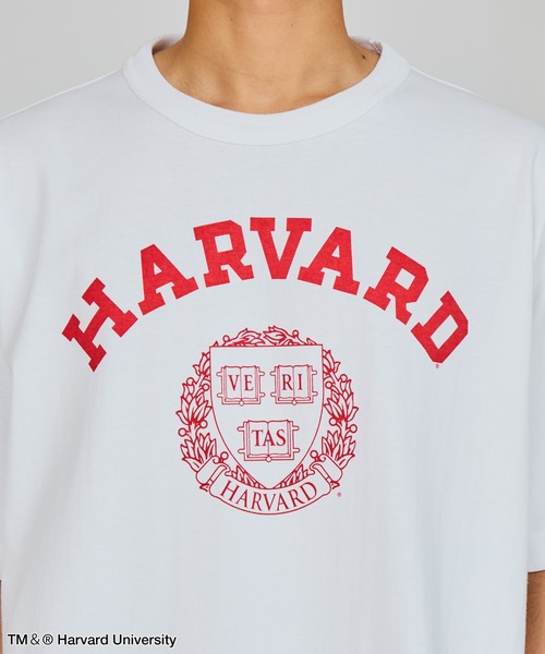 Champion（チャンピオン）の「【Champion/チャンピオン】メンズ MADE IN USA ティーテンイレブン ショートスリーブTシャツ HARVARD（Tシャツ/カットソー・メンズ・レッド系その他7/ホワイト/ホワイト系その他7/その他13・MEDIUM/LARGE/X-LARGE）」の21枚目の写真
