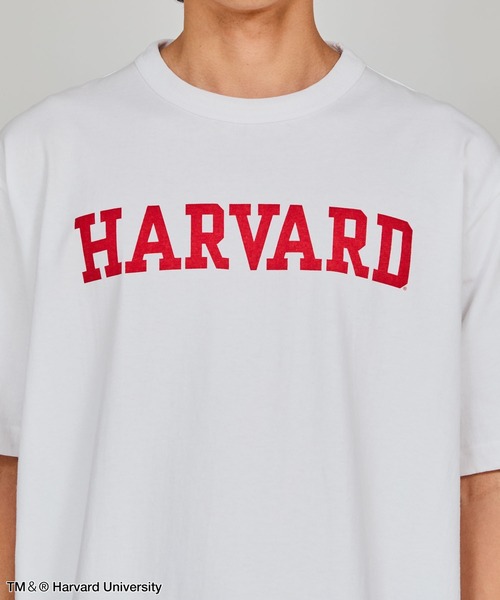 Champion（チャンピオン）の「【Champion/チャンピオン】メンズ MADE IN USA ティーテンイレブン ショートスリーブTシャツ HARVARD（Tシャツ/カットソー・メンズ・レッド系その他7/ホワイト/ホワイト系その他7/その他13・MEDIUM/LARGE/X-LARGE）」の8枚目の写真
