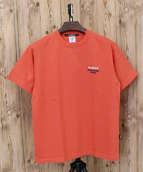 AVIREX(アヴィレックス)の「USAFA SQUADRONS EMBROIDERY T-SHIRT(Tシャツ/カットソー・メンズ・ホワイト/ネイビー/オレンジ/チャコールグレー・M/L/XL/XXL)」の21枚目の写真