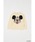 Disney SERIES CREATED by MUSifBYj[V[YNGCebhoCG[GXj́uMD FACE KNIT LbYgbvXijbg/Z[^[jvbzCg
