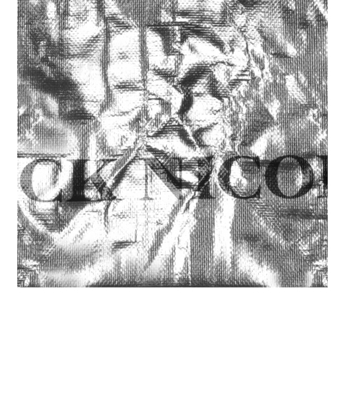 NICK&NICOLE(ニックアンドニコール)の「NICOLE REUSABLE TARPAULIN BAG_SILVER(ショルダーバッグ・レディース・その他・FREE)」の3枚目の写真