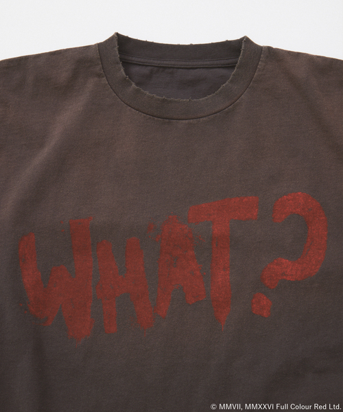 BRANDALISED（ブランダライズド）の「BRANDALISED ロングスリーブ Tシャツ（Tシャツ/カットソー・メンズ・ホワイト/チャコールグレー/ブラウン/ブラック系その他・LARGE/MEDIUM）」の8枚目の写真