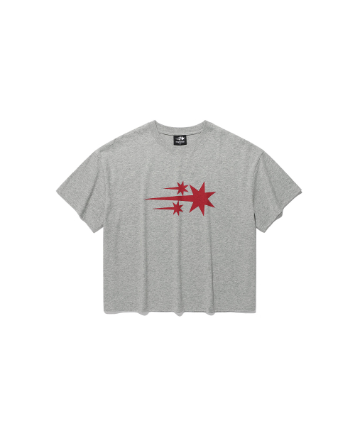 NICE GHOST CLUB（ナイスゴーストクラブ）の「3STAR BIG CROP TEE_GREY(NG2GMFT531A)（Tシャツ/カットソー・レディース・グレー・F）」の5枚目の写真