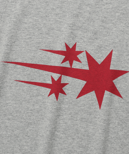 NICE GHOST CLUB（ナイスゴーストクラブ）の「3STAR BIG CROP TEE_GREY(NG2GMFT531A)（Tシャツ/カットソー・レディース・グレー・F）」の3枚目の写真