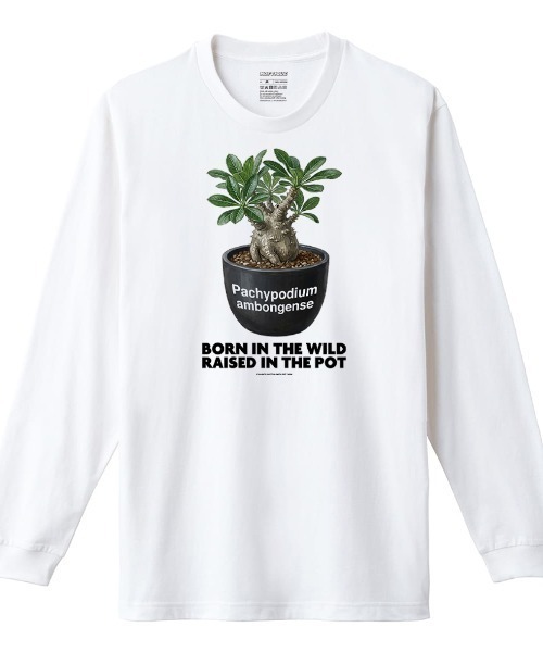 Moftique(モフティック)の「Moftique(モフティック) 長袖Tシャツ パキポディウム アンボンゲンセ コーデックス 塊根植物 多肉植物 プリント Tシャツ 長袖 ロンT ロングTシャツ トップス カットソー メンズ レディース ユニセックス 春 秋(Tシャツ/カットソー・メンズ・ホワイト/ブラック・M/XL/L)」の2枚目の写真