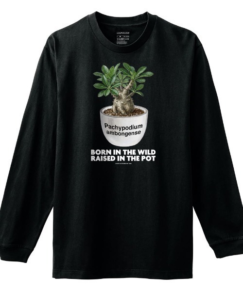 Moftique(モフティック)の「Moftique(モフティック) 長袖Tシャツ パキポディウム アンボンゲンセ コーデックス 塊根植物 多肉植物 プリント Tシャツ 長袖 ロンT ロングTシャツ トップス カットソー メンズ レディース ユニセックス 春 秋(Tシャツ/カットソー・メンズ・ホワイト/ブラック・M/XL/L)」の1枚目の写真