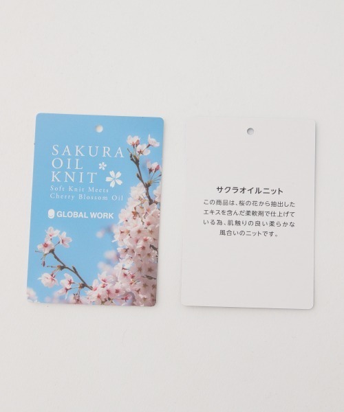 GLOBAL WORK（グローバルワーク）の「洗えるサクラオイルVネック/868920（ニット/セーター・レディース・ライトブルー/ベージュ/オフホワイト・FREE）」の5枚目の写真