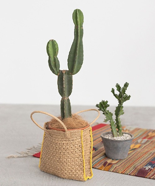 studio CLIP（スタディオクリップ）の「【kazumiさんコラボ】世界のトリップクローゼット かごバッグ（トートバッグ・レディース・イエロー/ブラック/ピンク・FREE）」の7枚目の写真