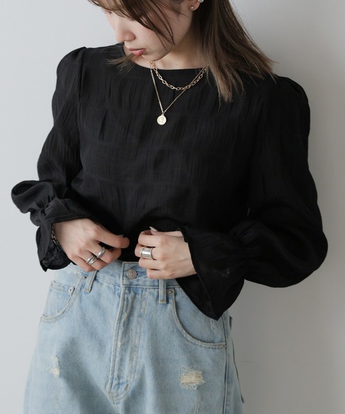 AO2(アオズ)の「Chiffon Sheer tops / シフォンシアートップス(Tシャツ/カットソー・レディース・アイボリー/ライトブルー/ブラック・FREE)」の7枚目の写真