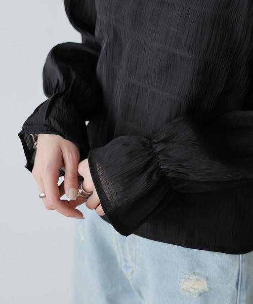 AO2(アオズ)の「Chiffon Sheer tops / シフォンシアートップス(Tシャツ/カットソー・レディース・アイボリー/ライトブルー/ブラック・FREE)」の12枚目の写真