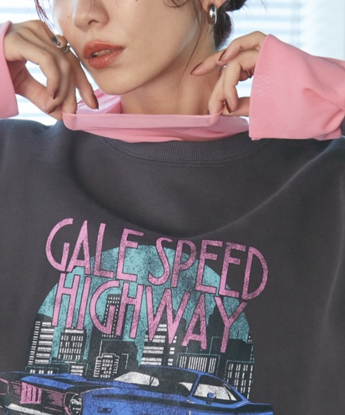 Auntie Rosa Holiday（アンティローザホリデー）の「パワーメッシュハイネックプルオーバー（Tシャツ/カットソー・レディース・グリーン/ピンク/グレー/ブラック・FREE）」の4枚目の写真