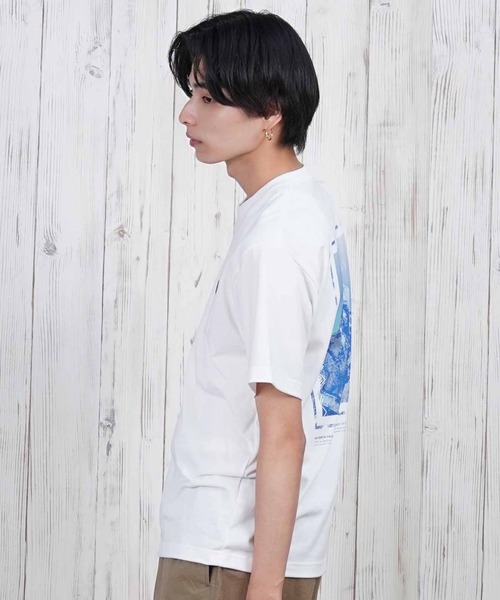 THE NORTH FACE/ザ・ノース・フェイス SS FD SVN SM GRP T 半袖Tシャツ