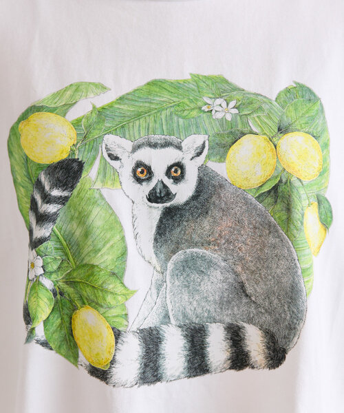 ear PAPILLONNER（イアパピヨネ）の「sampo×ear ワオキツネザル/刺しゅうTシャツ（Tシャツ/カットソー・レディース・ホワイト・FREE）」の12枚目の写真